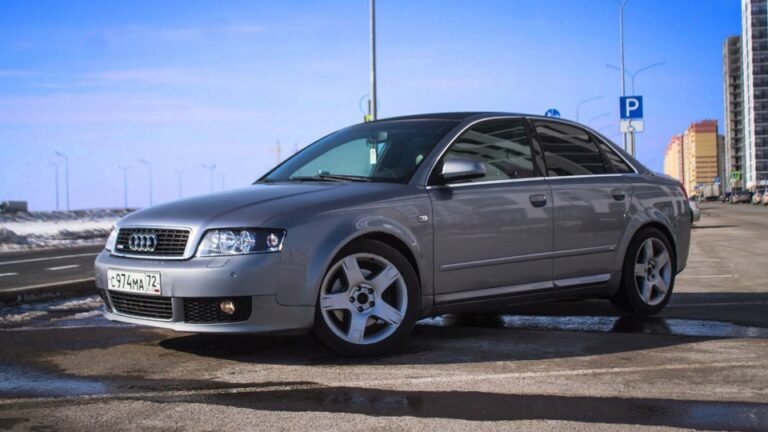 P0441 audi a4 b6